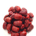 Chinese Shaanxi organic big red dates